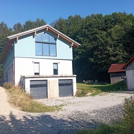 Fewo Wiesenblick Waldmünchen Exterior foto